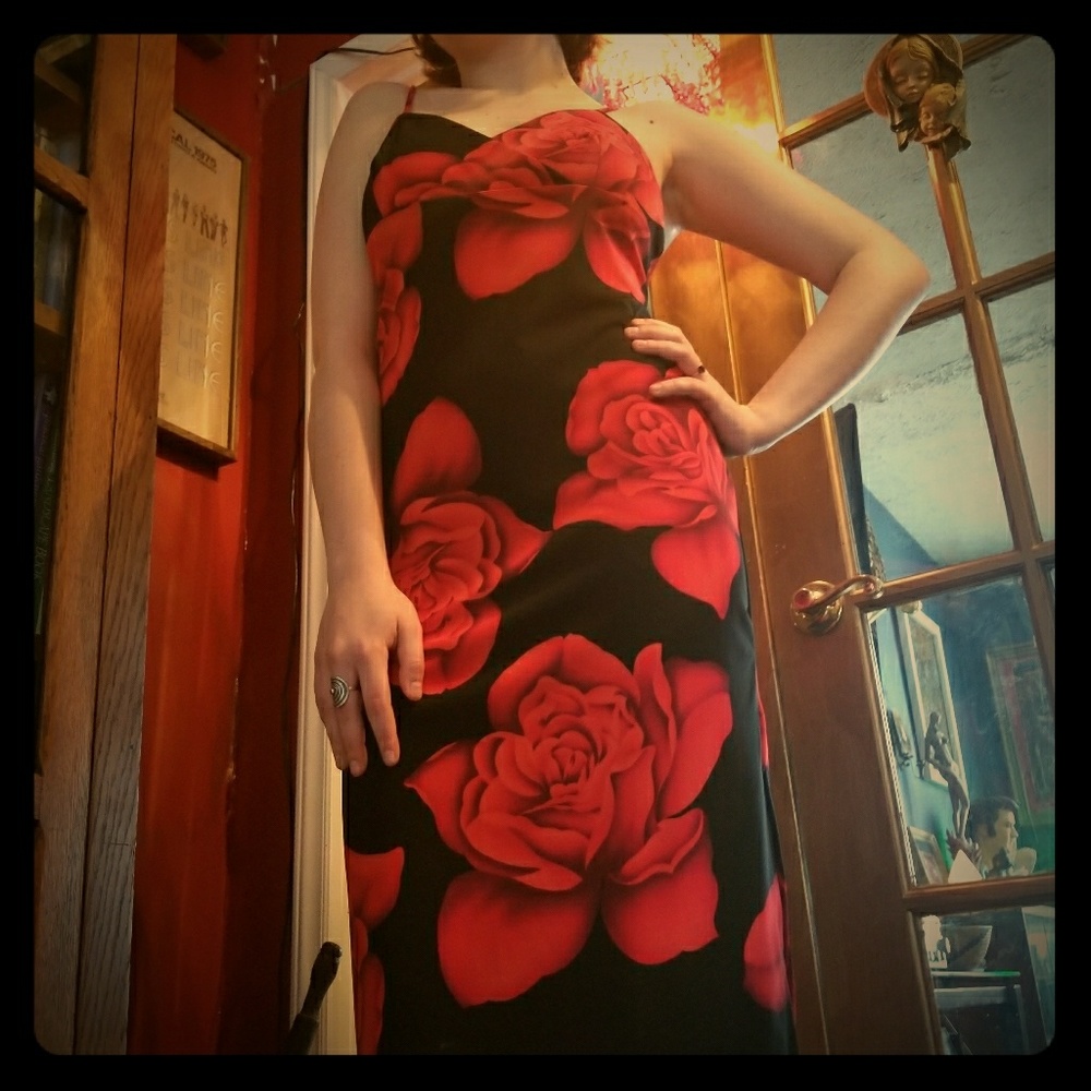 La belle stunning rose dress